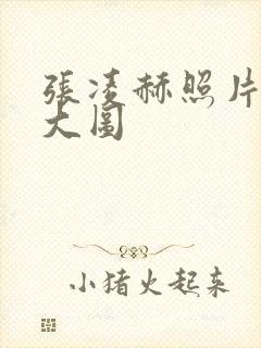 张凌赫照片高清大图