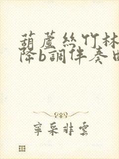 葫芦丝竹林深处降b调伴奏曲子封面