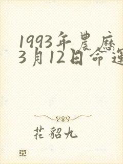 1993年农历3月12日命运如何