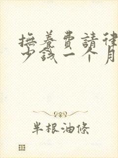 抚养费请律师多少钱一个月多少钱