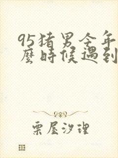 95猪男今年什么时候遇到正缘封面