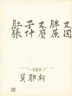 肚子又胖又经常胀什么原因