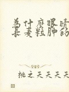 为什么眼睛经常长麦粒肿的原因