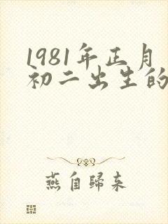 1981年正月初二出生的人命运封面