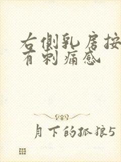右侧乳房按下去有刺痛感