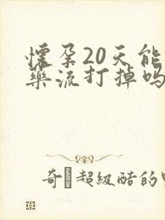 怀孕20天能吃药流打掉吗