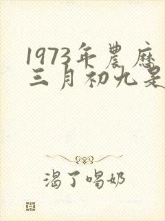 1973年农历三月初九是什么命封面