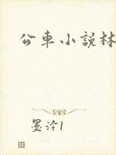 公车小说林蔓蔓