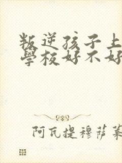 叛逆孩子上封闭学校好不好