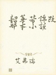 韶华若锦改编自哪本小说