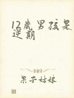 12岁男孩是叛逆期