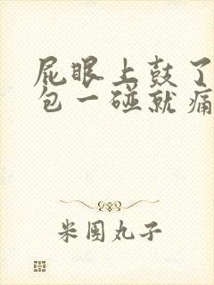 屁眼上鼓了一个包一碰就痛