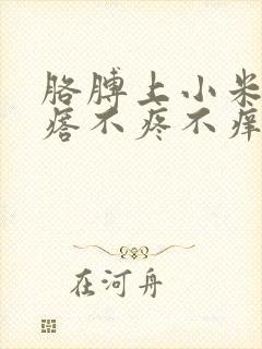 胳膊上小米粒疙瘩不疼不痒封面