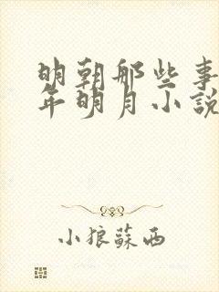 明朝那些事儿当年明月小说的免费阅读