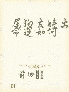 属狗亥时出生的命运如何封面