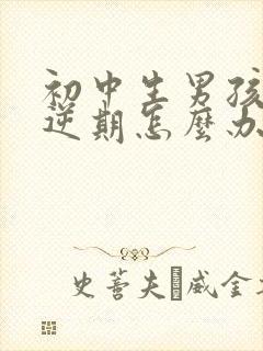 初中生男孩子叛逆期怎么办