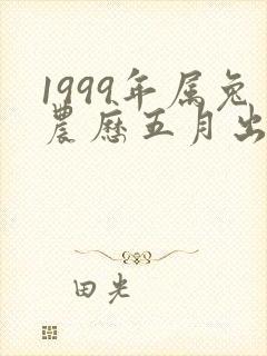 1999年属兔农历五月出生的命运