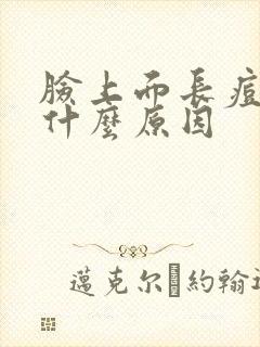 脸上面长痘痘是什么原因