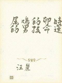 属鸡的卯时出生的男孩命运