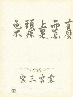 龟头上面有红点不痒是怎么回事封面