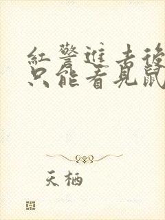 红警进去后黑屏只能看见鼠标