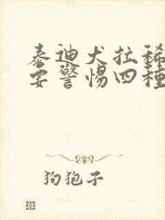 泰迪犬拉稀带血要警惕四种病