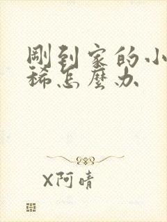 刚到家的小狗拉稀怎么办