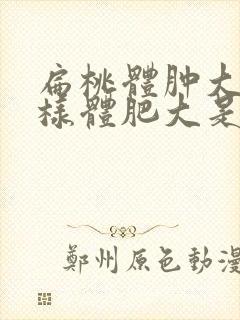 扁桃体肿大和腺样体肥大是一回事吗