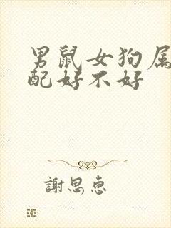 男鼠女狗属相婚配好不好