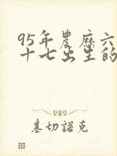 95年农历六月十七出生的命运