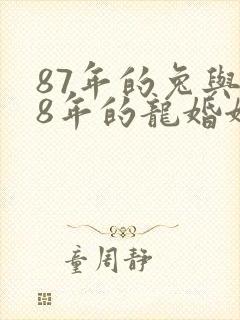 87年的兔与88年的龙婚姻会是怎样