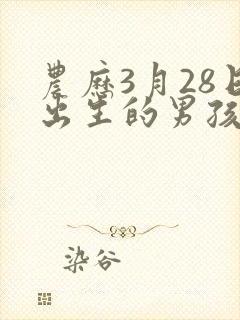 农历3月28日出生的男孩命运