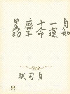 农历十一月出生的羊命运如何封面