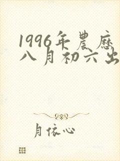 1996年农历八月初六出生的命运