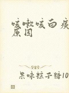 咳嗽咳白痰什么原因封面