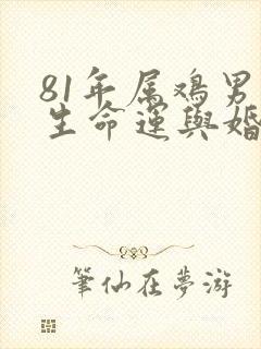 81年属鸡男一生命运与婚姻如何封面