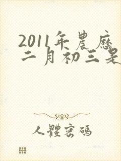2011年农历二月初三是什么命封面