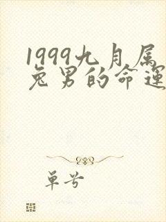 1999九月属兔男的命运如何