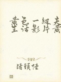 黄色一级夫妻性生活影片黄色片免费在线观看