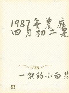 1987年农历四月初二是什么命