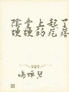 阴囊上起了一个硬硬的疙瘩