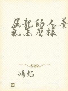 属龙的人养猪运气怎么样封面