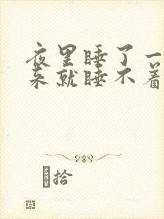 夜里睡了一觉醒来就睡不着了封面