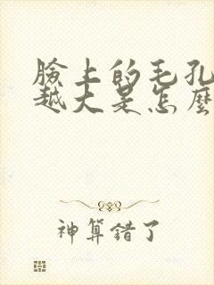 脸上的毛孔越来越大是怎么回事