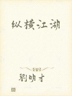 纵横江湖封面