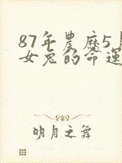 87年农历5月女兔的命运