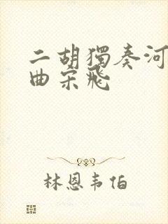 二胡独奏河南小曲宋飞