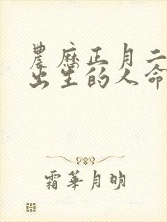 农历正月二十六出生的人命运