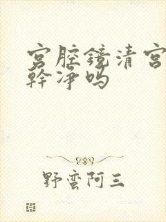 宫腔镜清宫能清干净吗