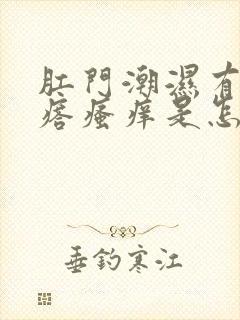 肛门潮湿有小疙瘩瘙痒是怎么回事封面